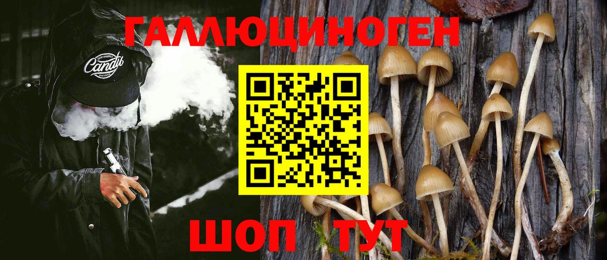 цена   Галлюциногенные грибы Magic Shrooms  Вход с VPN  Нововоронеж 